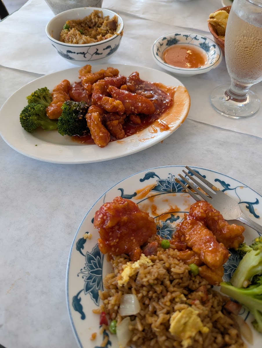 Precious Chinese Cuisine Photos 2